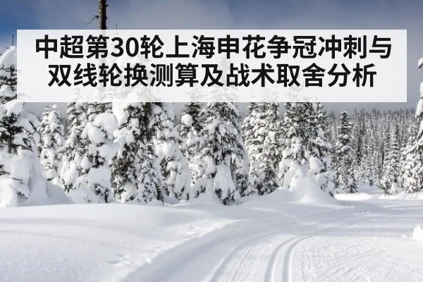 中超第30轮上海申花争冠冲刺与双线轮换测算及战术取舍分析